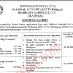 naib jobs